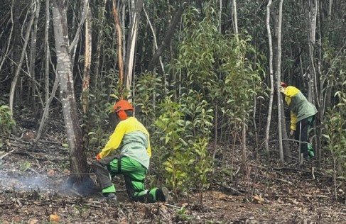 Sapadores florestais recebem formação